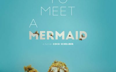 How to Meet a Mermaid